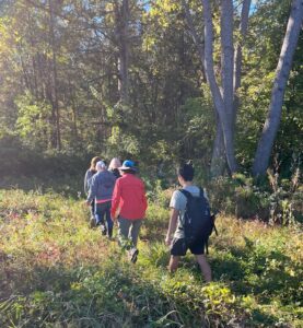Views on Views: Walking The Edges 