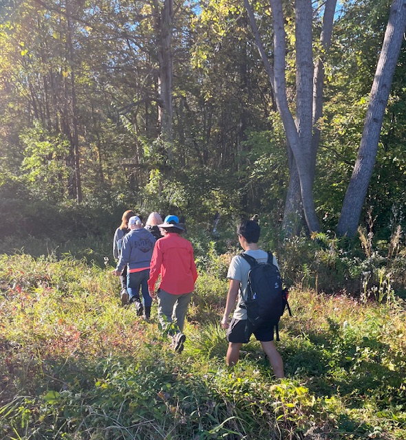 Views on Views: Walking The Edges 