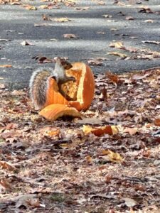 Photos of the Week: Pumpkins and Skeletons