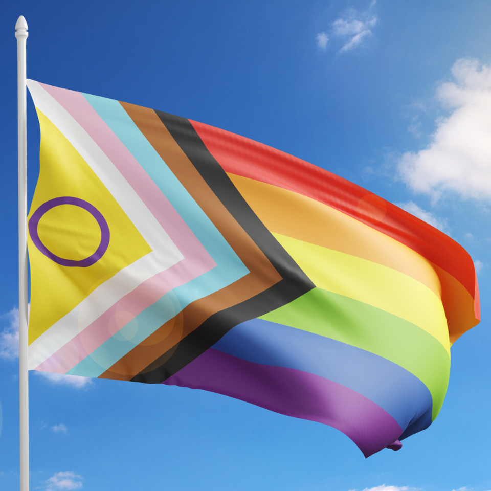 LGBTQ flag