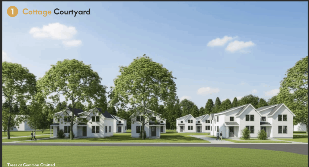 What Kinds of Housing Could be Built at the Old South Amherst School Site?