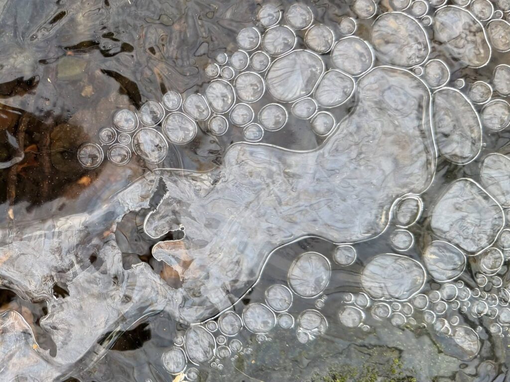 Photos of the Week: Stream Ice Magic