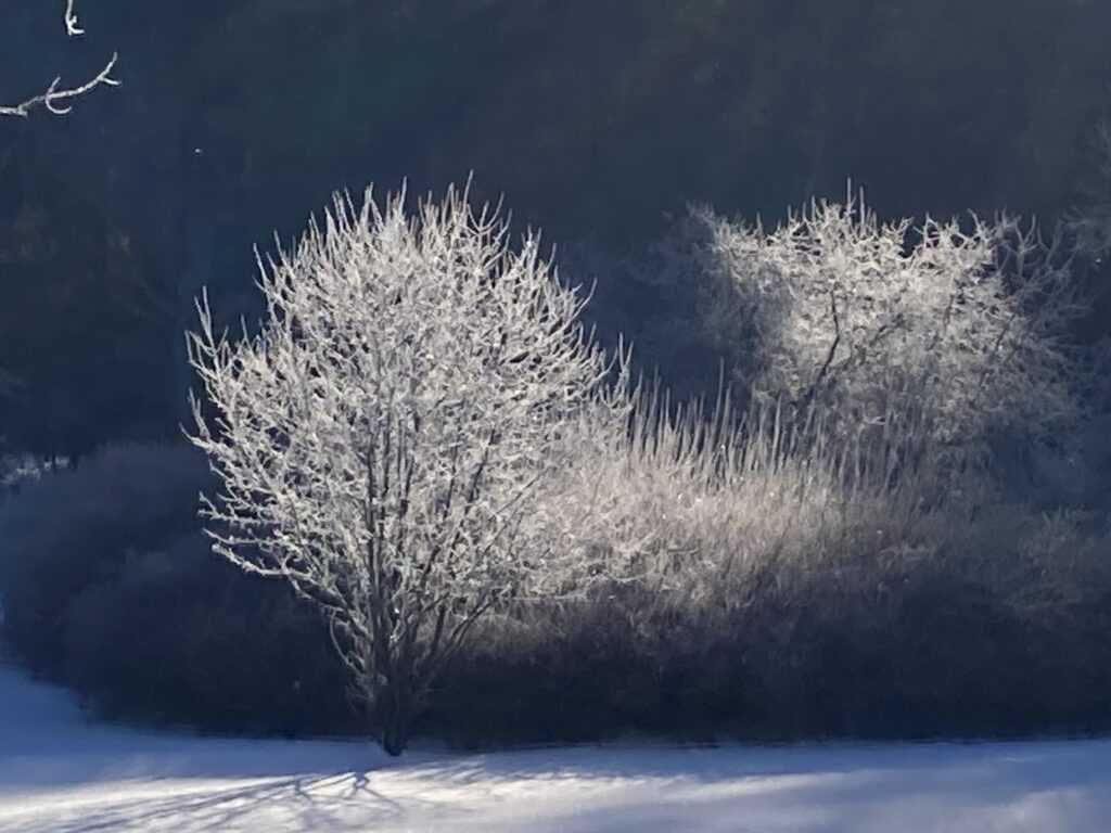 Photos of the Week: The Rimes of Pelham