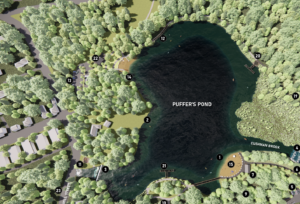 Town Plans Puffer’s Pond Restoration