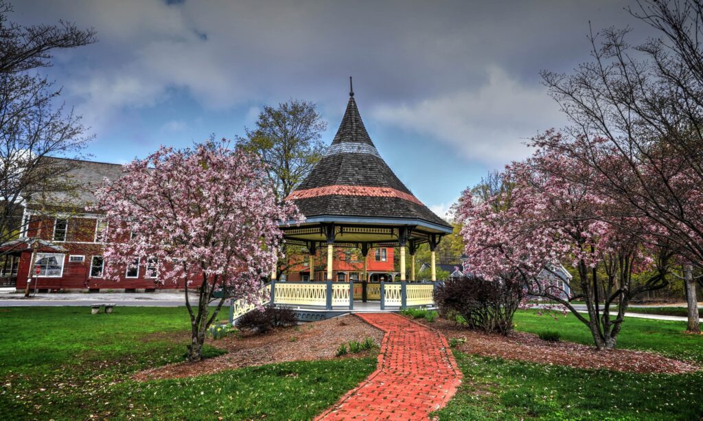 Views on Views: Incidentals in Our Landscapes 