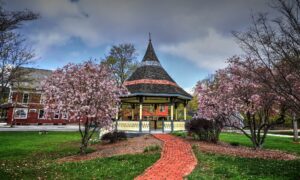 Views on Views: Incidentals in Our Landscapes 