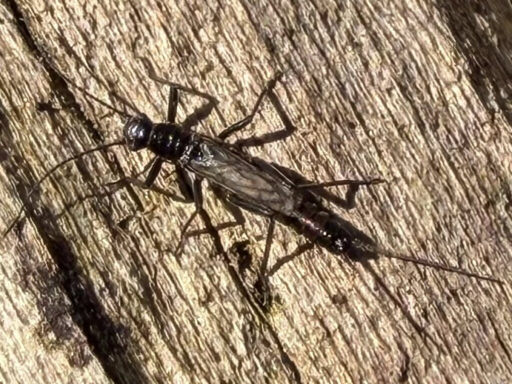 Photos of the Week: Two Walks in the Woods