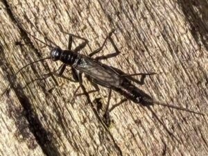 Photos of the Week: Two Walks in the Woods