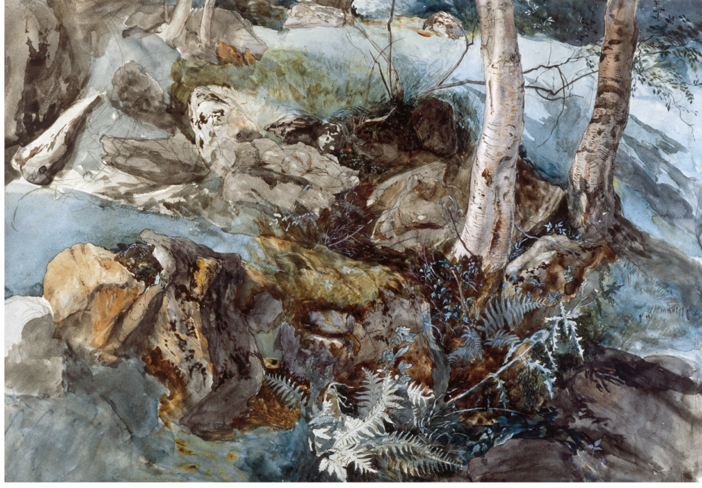 Ruskin - wetlands watercolor