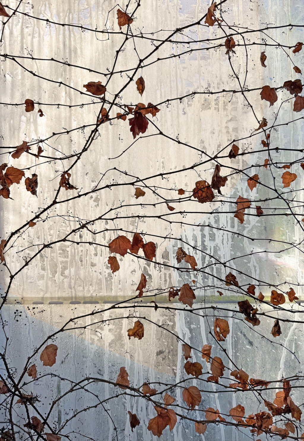 Flora and Fauna at Gallery A3 in April