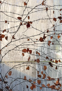 Flora and Fauna at Gallery A3 in April