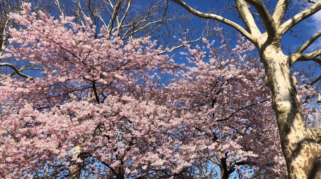 Opinion: Six Key Climate Truths