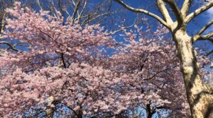 Opinion: Six Key Climate Truths