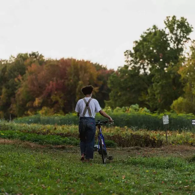 Hampshire College Farm