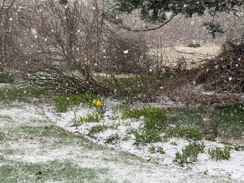 Photo of the Week: Defiance!