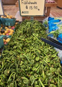 Photo of the Week: Fiddlehead Season