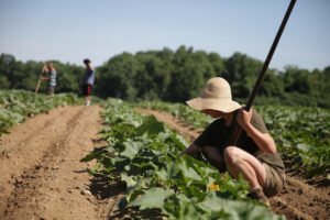 Trustees of Reservations and Kestrel Land Trust Offer a Shared Vision for Conservation, Community, Agriculture, and Education at Hampshire College