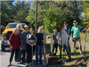 Plant Trees with the Public Shade Tree Committee on Saturday, June 13