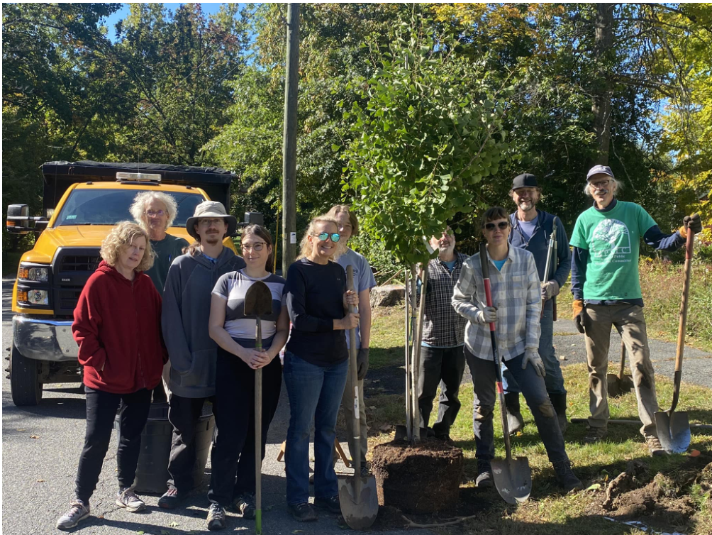 Plant Trees with the Public Shade Tree Committee on Saturday, June 13