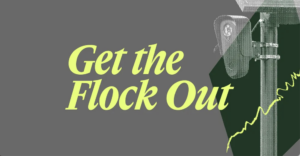 Get the flock out.  Surveillance, privacy