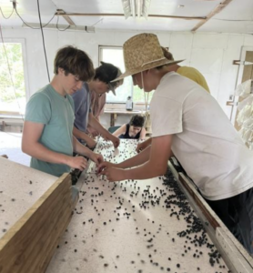 Summer Wanderings No. 3: Blueberries and the Town of Heath