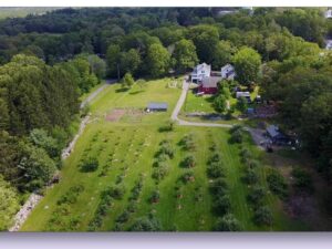 Summer Wanderings #5: Federal Street — Driving All Over Creation Near Amherst by Hetty Startup