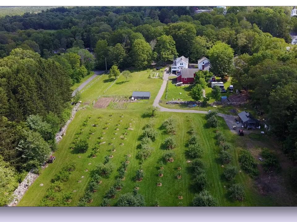 Summer Wanderings #5: Federal Street — Driving All Over Creation Near Amherst by Hetty Startup