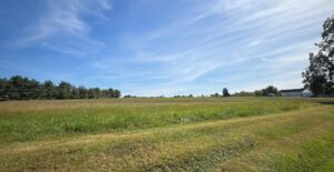 Letter | Saving Allebach Farm: A Model for the Hampshire College Campus?