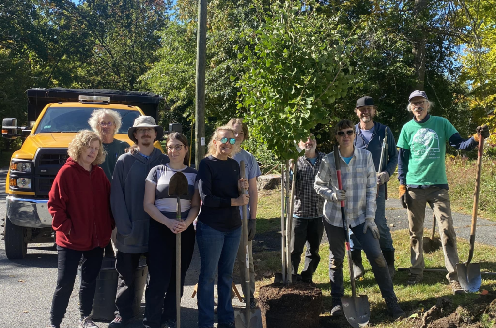 Opinion | The Amherst Public Shade Tree Committee: Planting for People We Will Never Meet