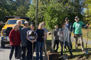 Opinion | The Amherst Public Shade Tree Committee: Planting for People We Will Never Meet
