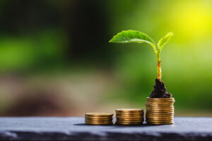Endowment, investment, appreciation
