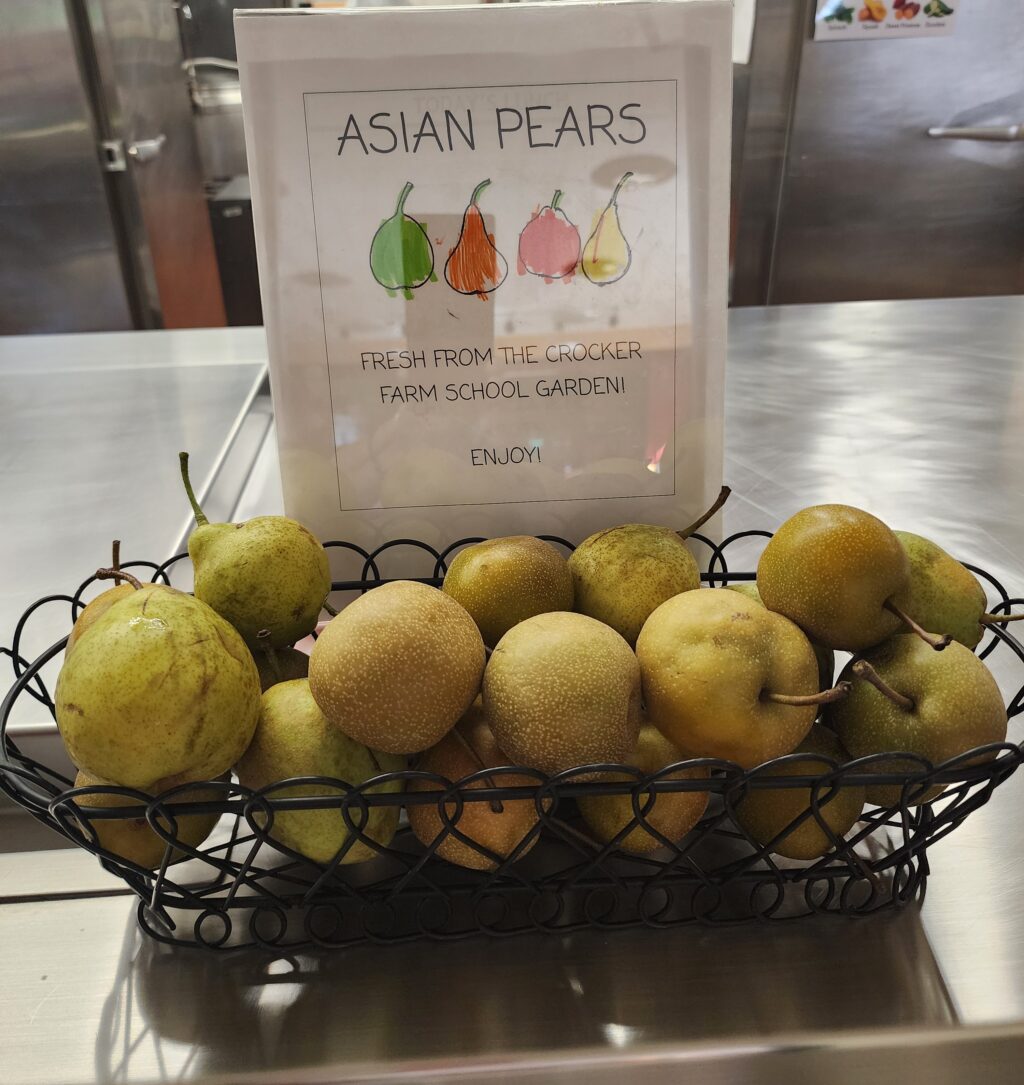 Garden Program Brings Student-Grown Produce to School Cafeterias