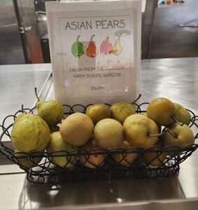Garden Program Brings Student-Grown Produce to School Cafeterias