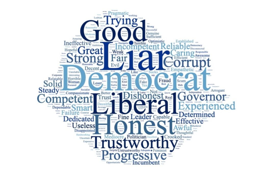 Democrat Words