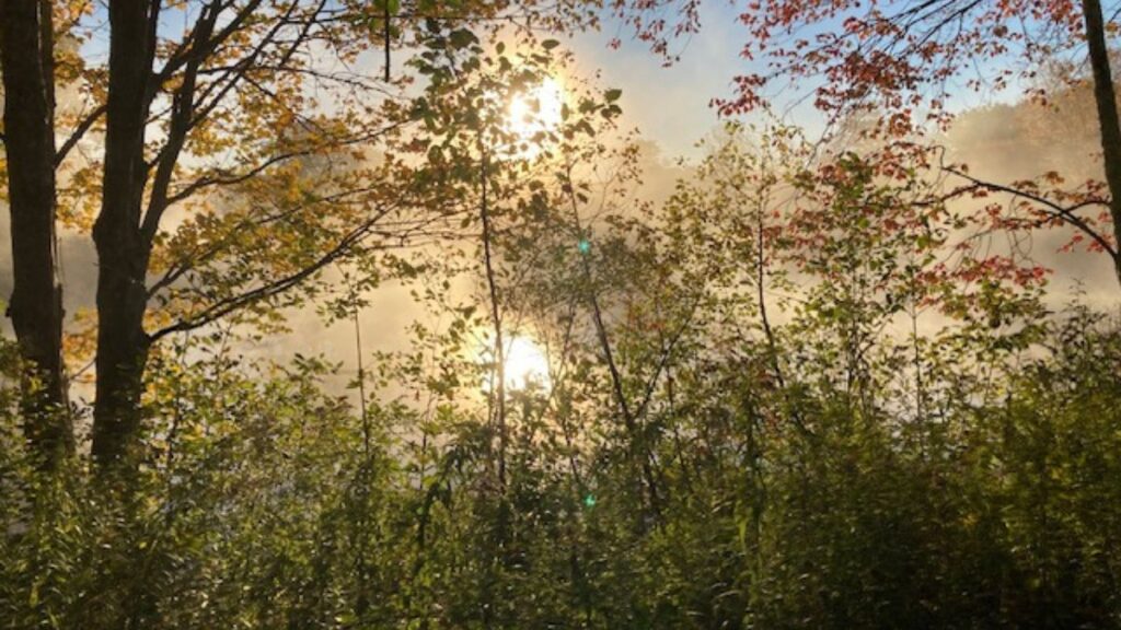 Great Balls of Fire #1. Sunset. Karin Lee