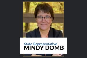 Rep Mindy Domb