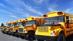 School Buses, Shutterstock
