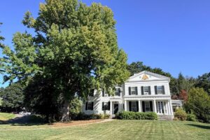 Sweet gum Clark House (1)