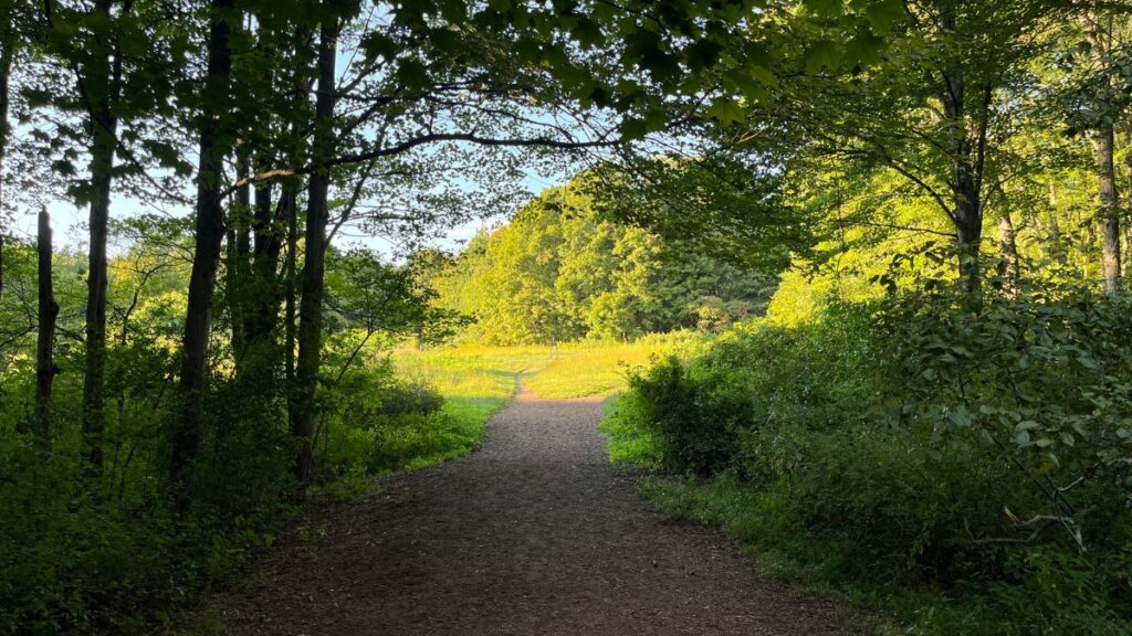 entrance to amerthyst brook conservation trail