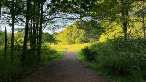entrance to amerthyst brook conservation trail
