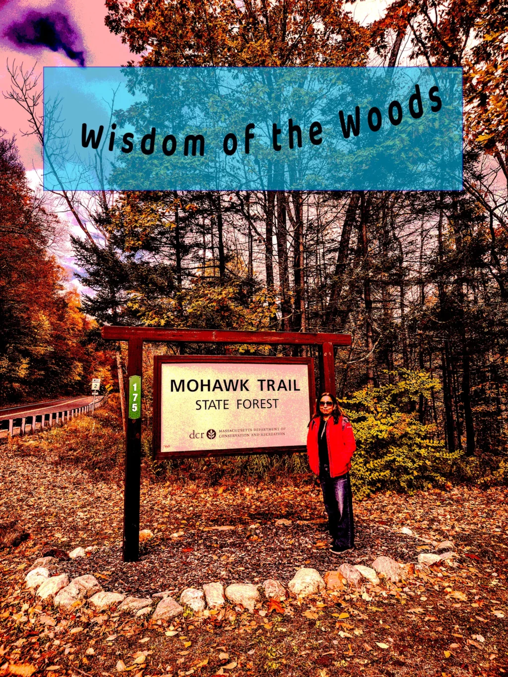 A Forest That Remembers