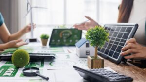 solar in forest